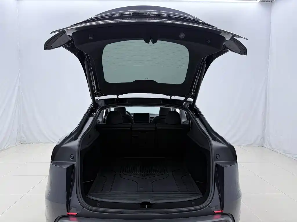 Tesla Model Y — миниатюра 15