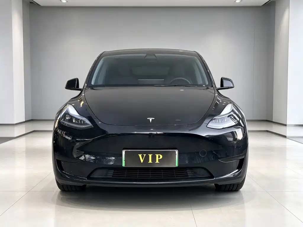 Tesla Model Y — миниатюра 2