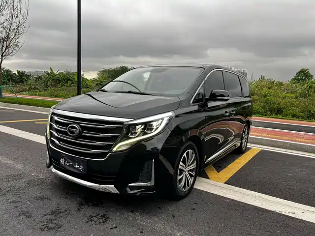 2020 GAC GN8