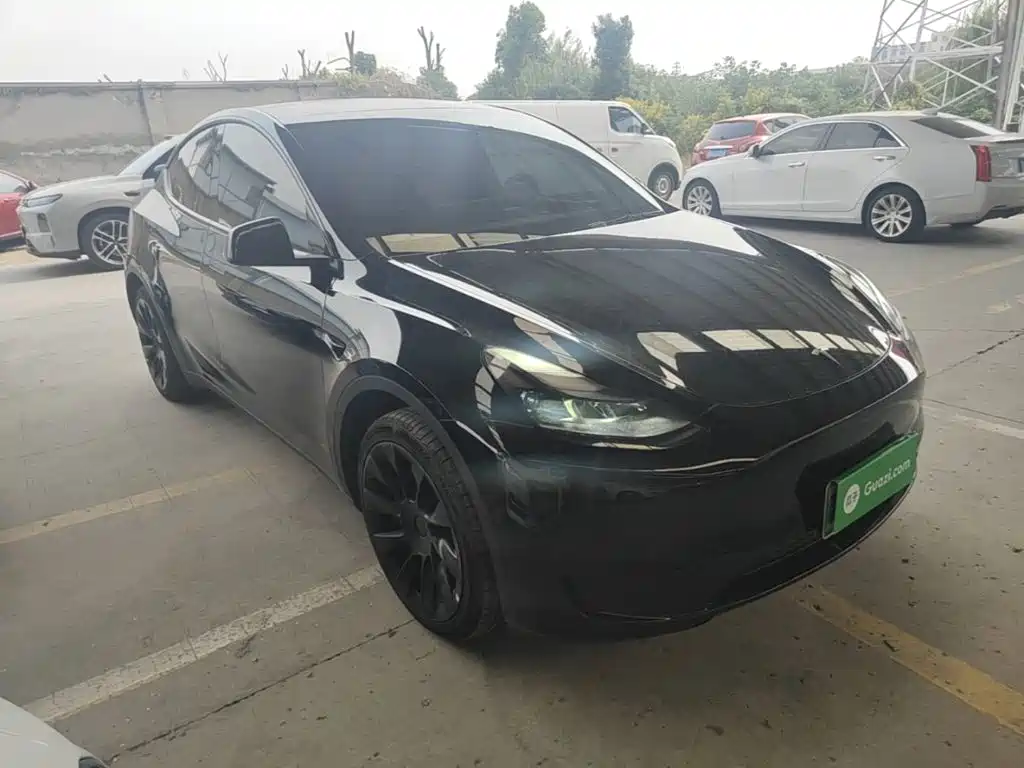 Tesla Model Y — миниатюра 4