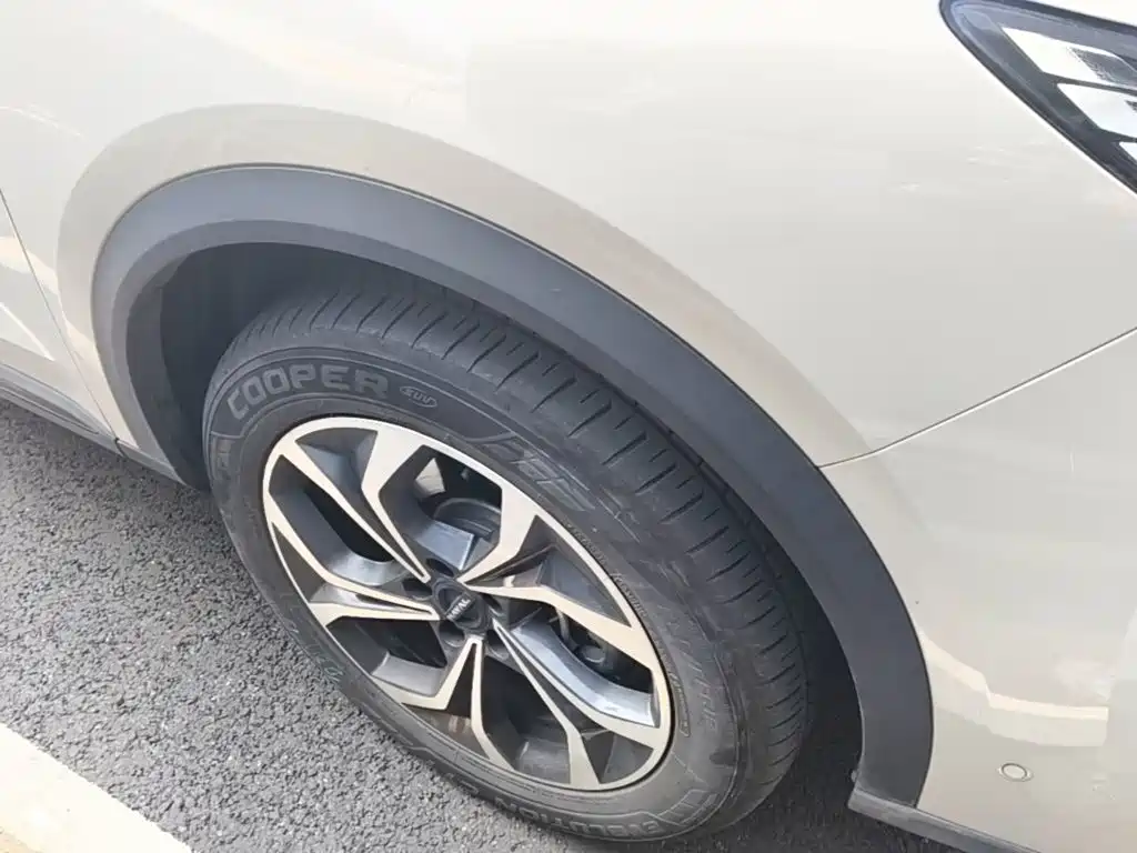 Haval Xiaolong MAX — миниатюра 12