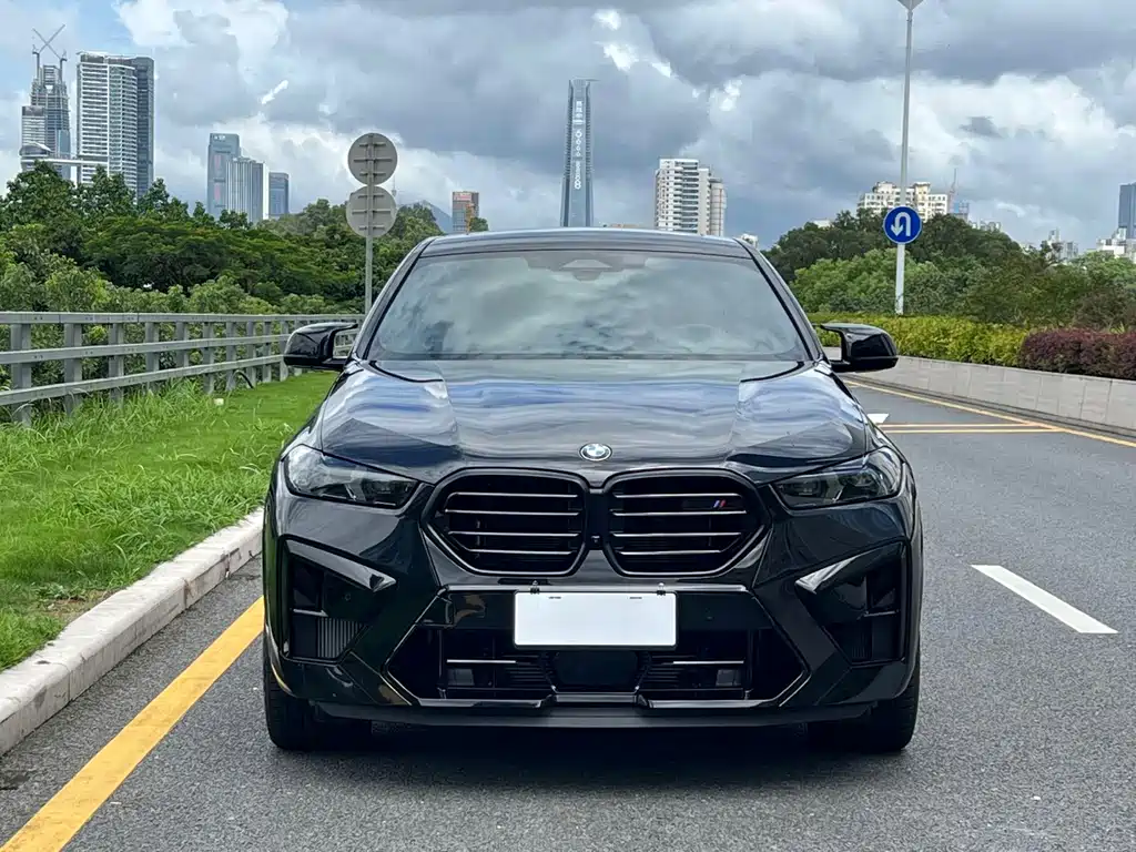 BMW X6 M — миниатюра 2