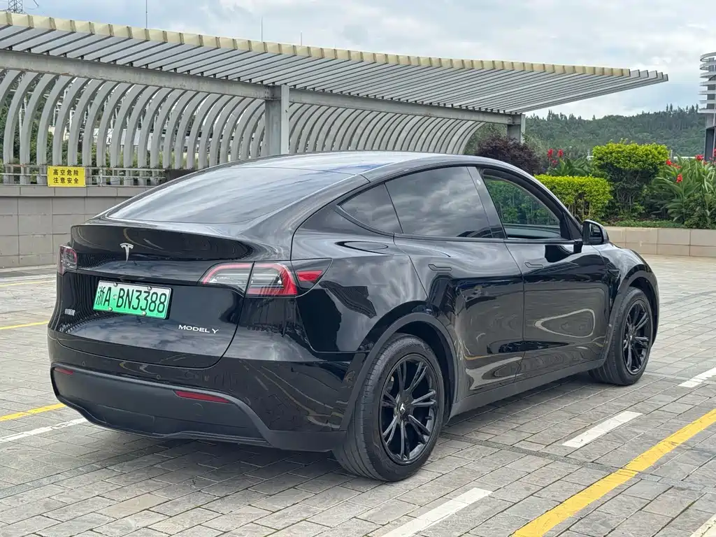 Tesla Model Y — фотографии объявления, Фото 20