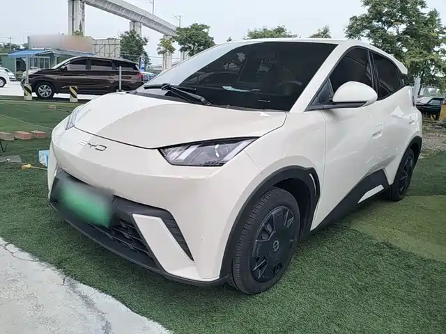 2024 BYD Seagull
