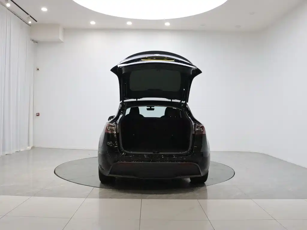 Tesla Model Y — миниатюра 20