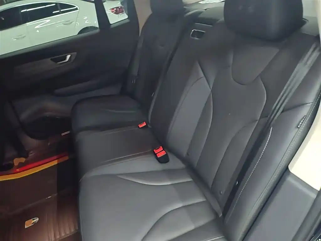 Hongqi Hongqi E-QM5 - фото 17