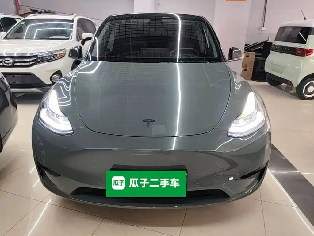 Tesla Model Y — миниатюра 3