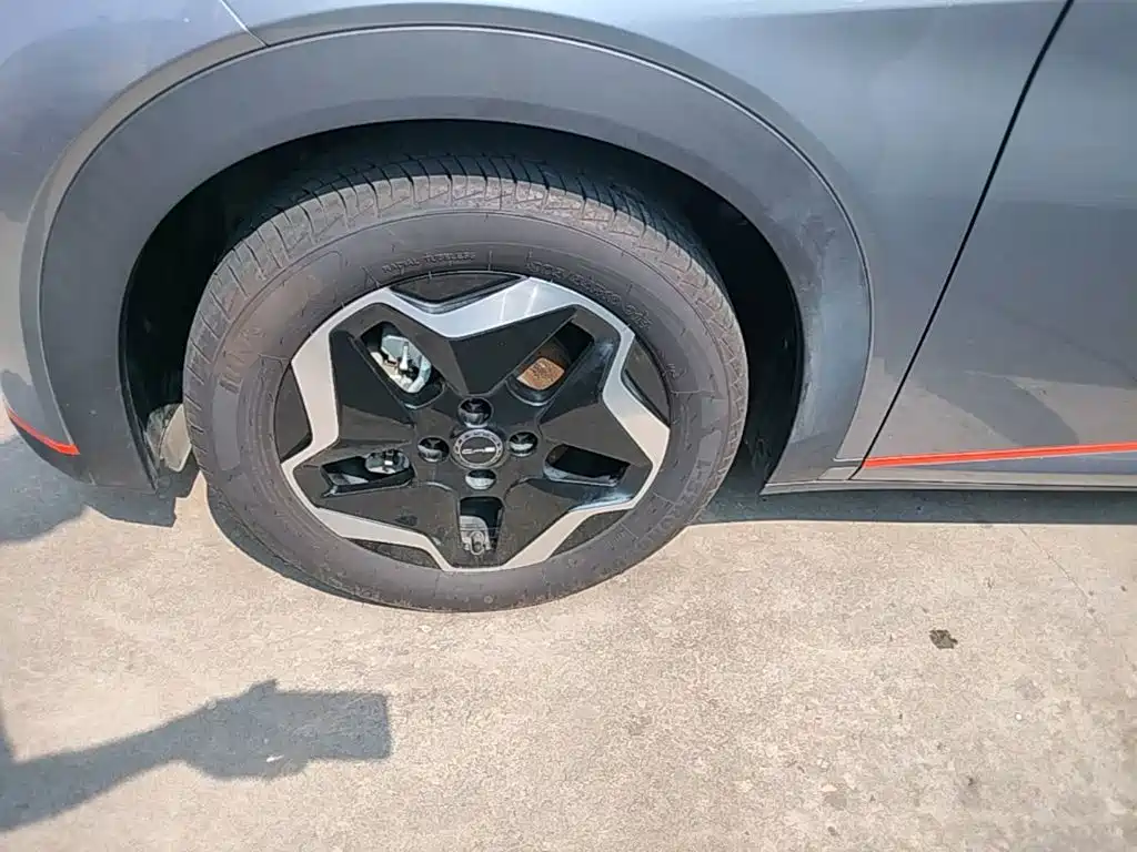 BYD Dolphin — миниатюра 23