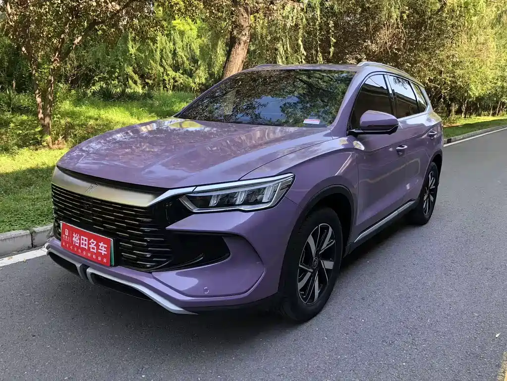 BYD Pro New Energy 2024