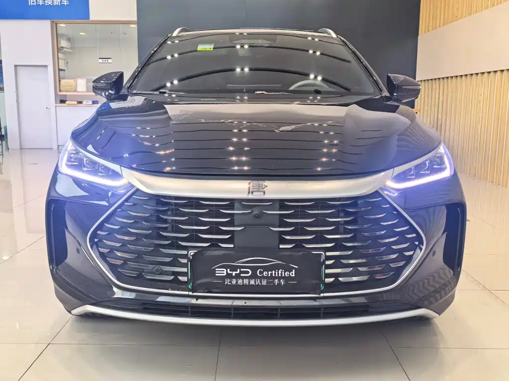 BYD Tang New Energy — миниатюра 2