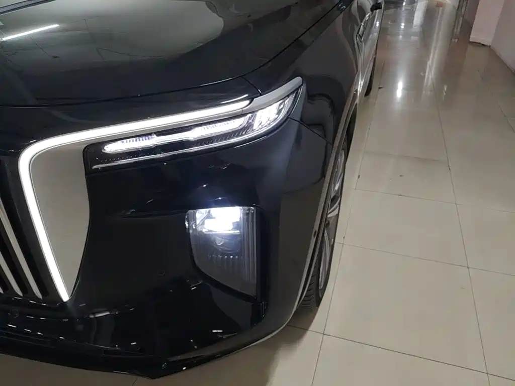 Hongqi Hongqi E-HS9 — миниатюра 24