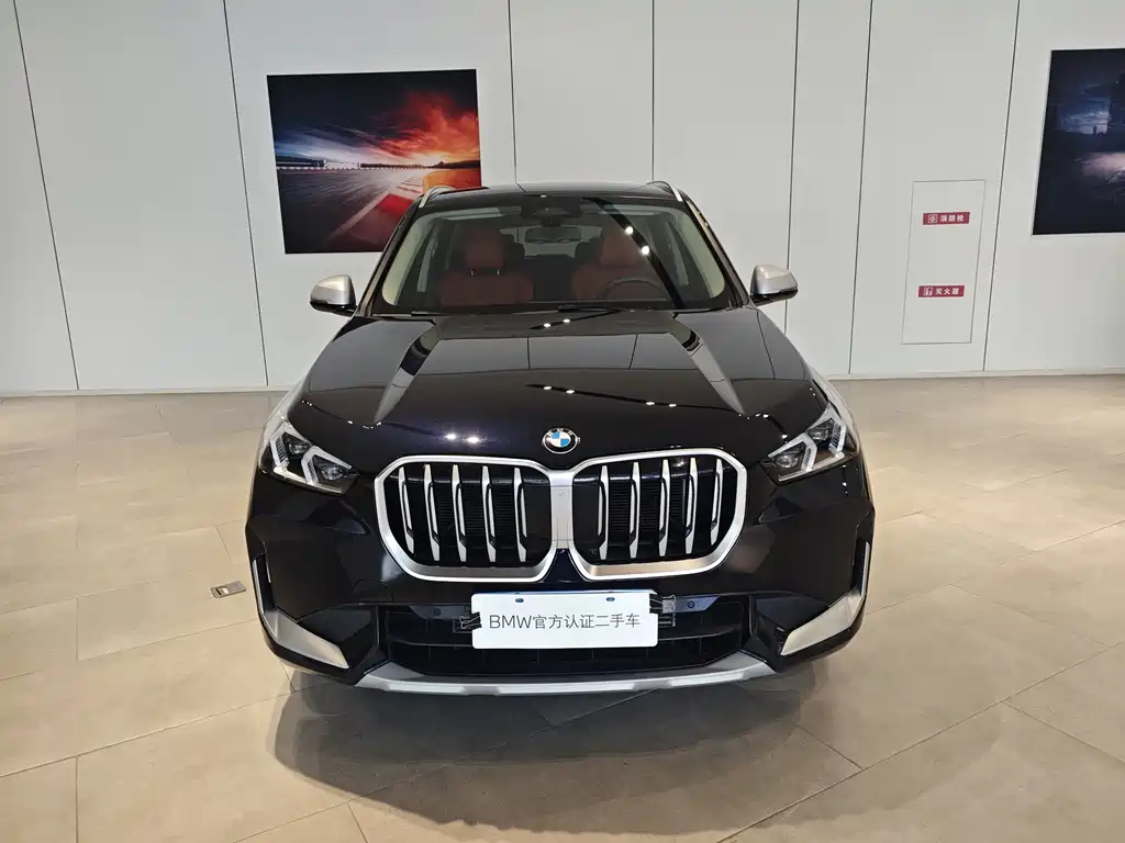 BMW X1 — миниатюра 2