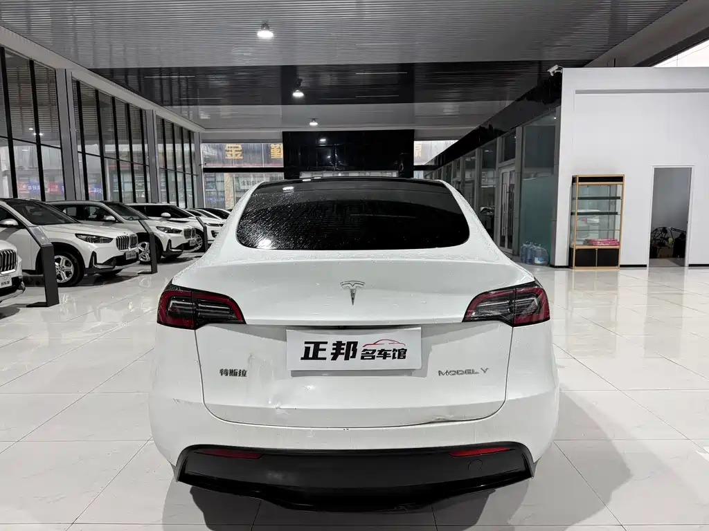 Tesla Model Y — миниатюра 4