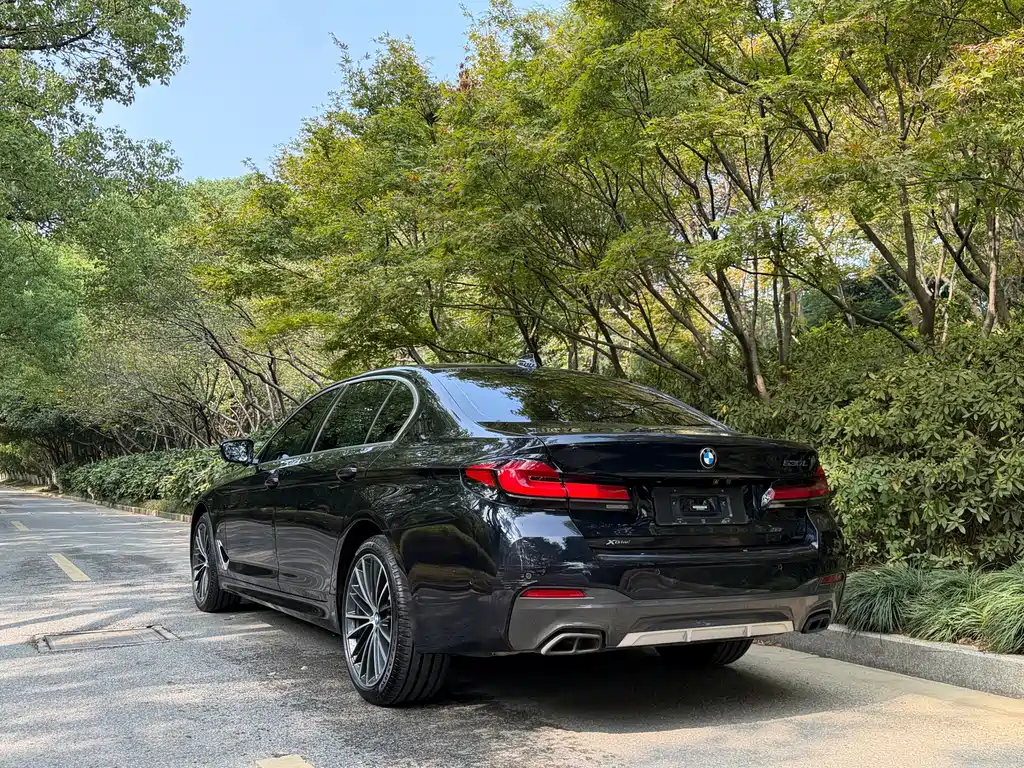 BMW 5 Series — миниатюра 15