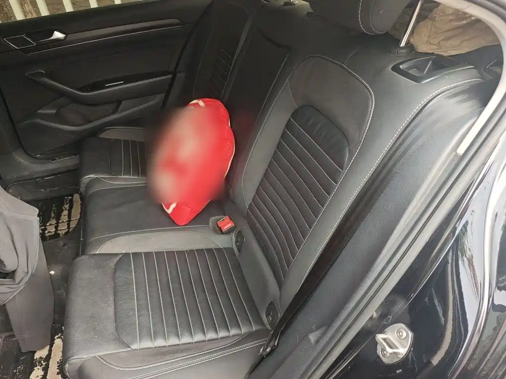 Volkswagen Magotan — миниатюра 13
