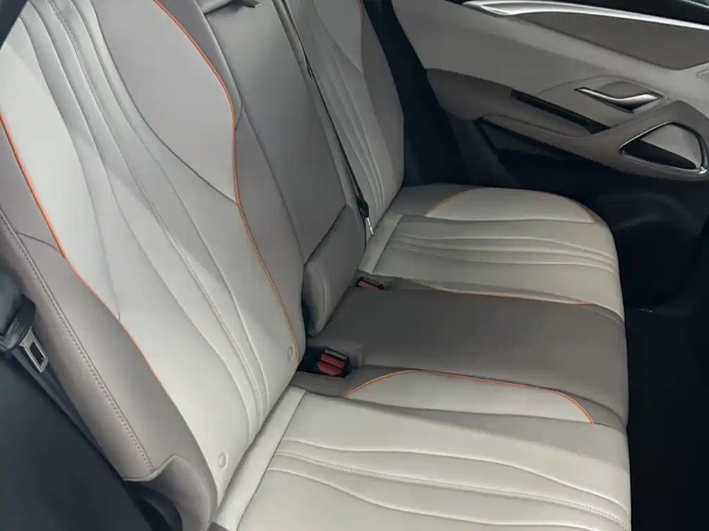 BYD Pro New Energy — миниатюра 10