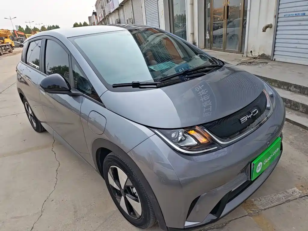 BYD Dolphin — миниатюра 4