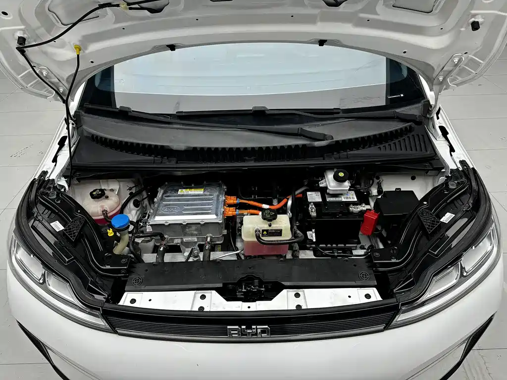 BYD D1 — миниатюра 16