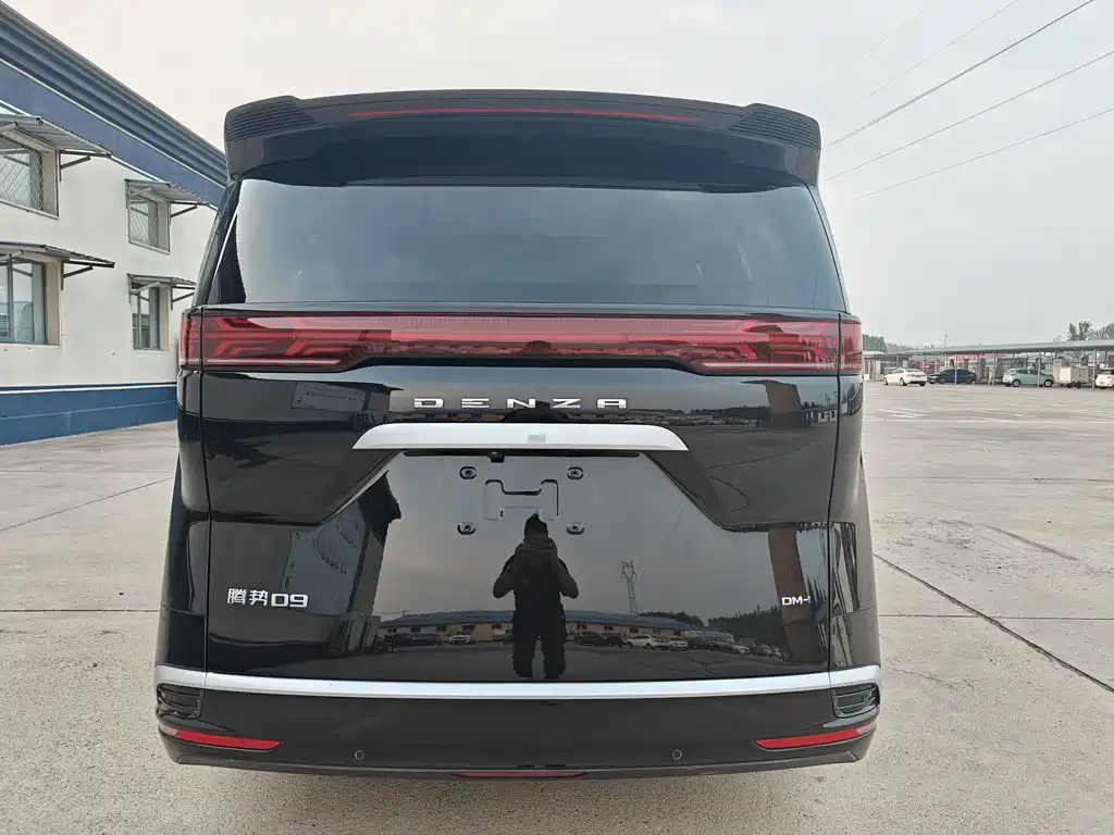 Denza Denza D9 — миниатюра 5