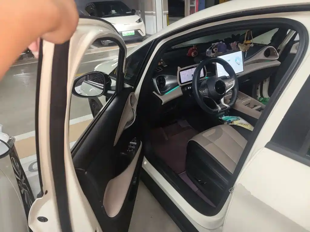 BYD Dolphin — миниатюра 12