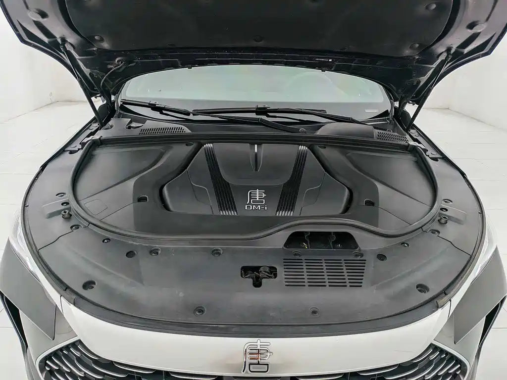BYD Tang 2024 DM-i 112KM Luxury