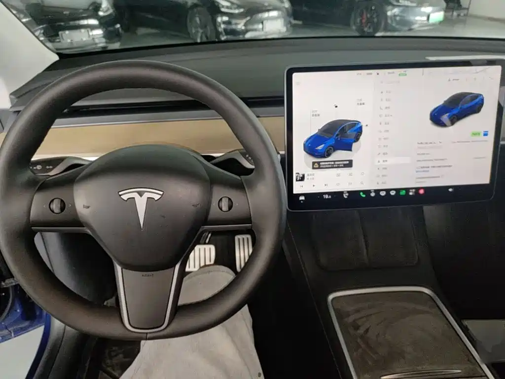 Tesla Model Y — миниатюра 10