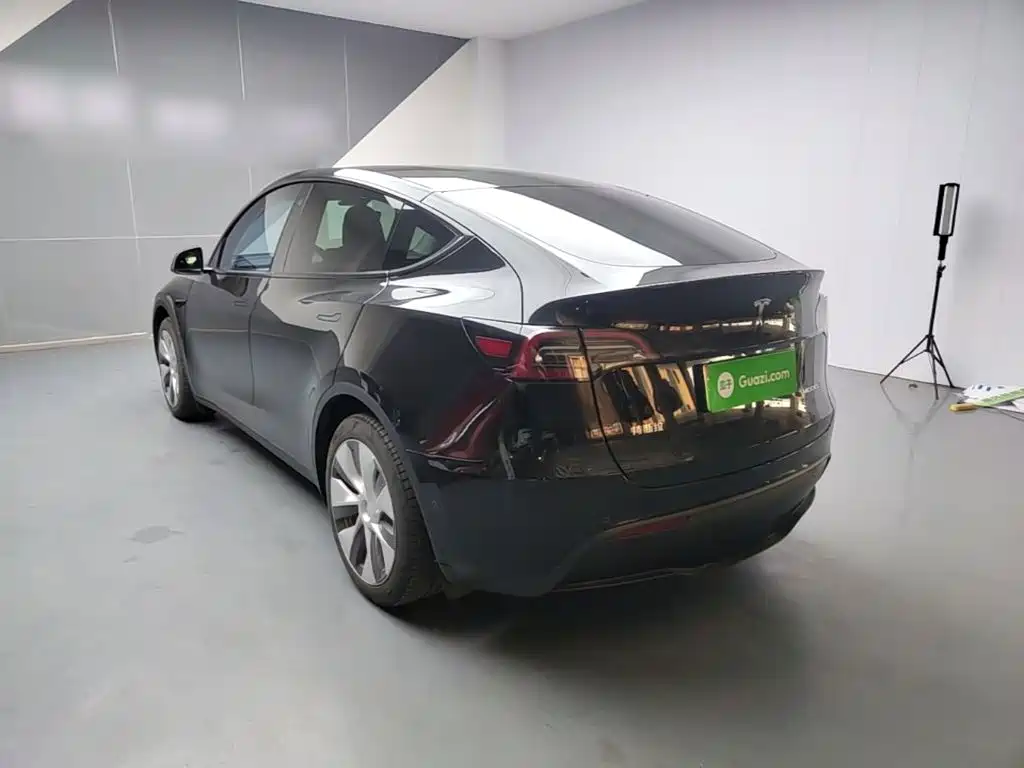 Tesla Model Y — миниатюра 5