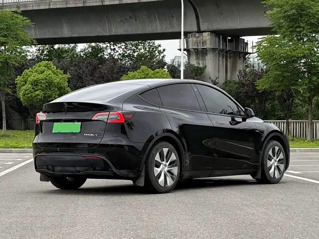 Tesla Model Y — миниатюра 6