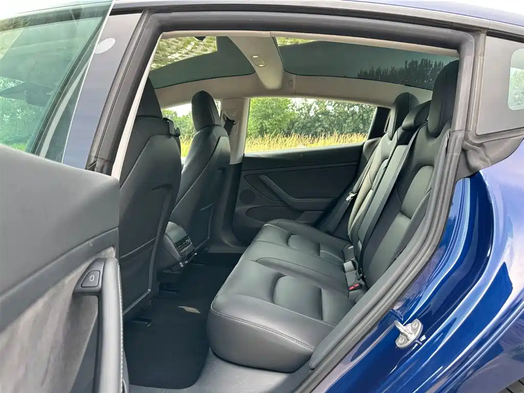 Tesla Model 3 2021 3D6