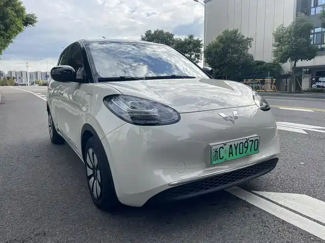WULING AUTOMOBILE WULING BINGGUO 2024