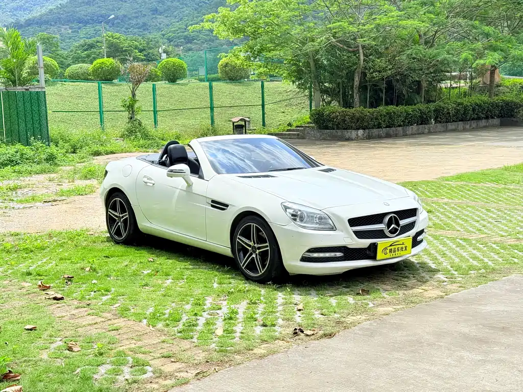Mercedes-Benz SLK-Class SLK 200 Fashion Type, фото 3