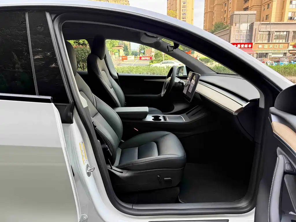 Tesla Model Y — миниатюра 11