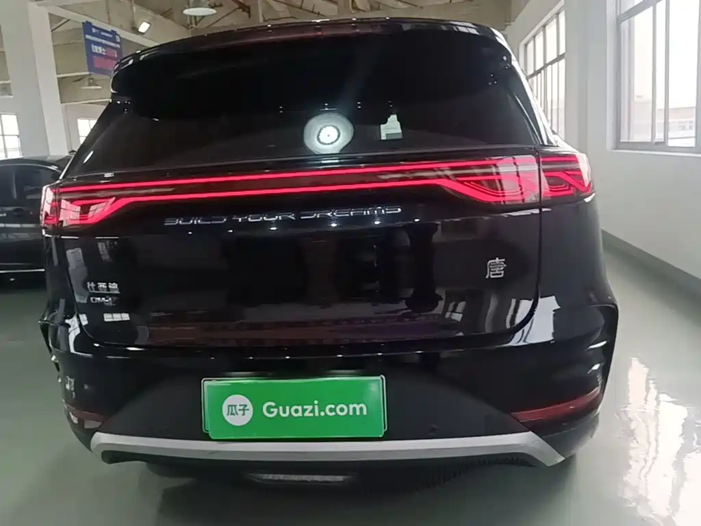 BYD Tang New Energy — миниатюра 6