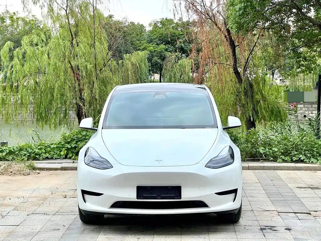 Tesla Model Y — миниатюра 2