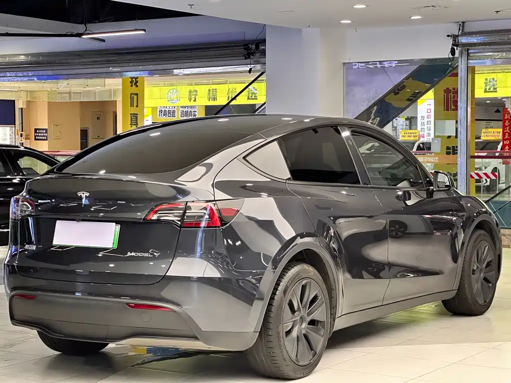 Tesla Model Y — миниатюра 3
