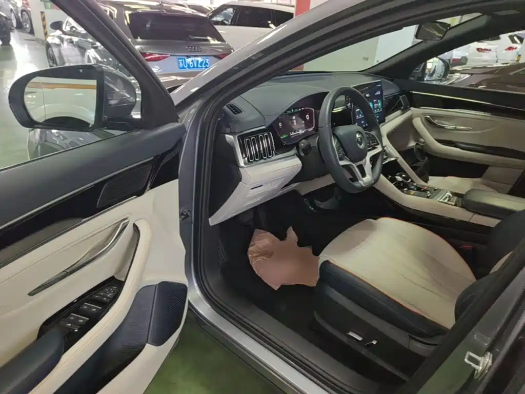 BYD PLUS New Energy — миниатюра 16