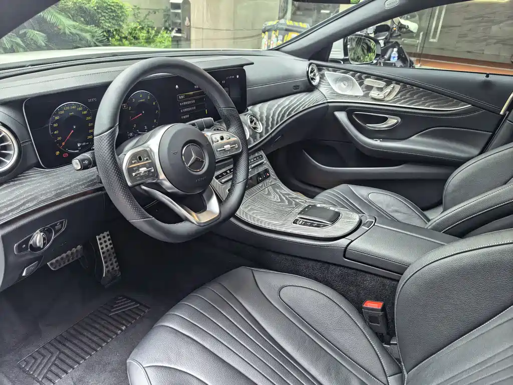 Mercedes-Benz CLS Facelift CLS 300 Luxury Type, фото 6
