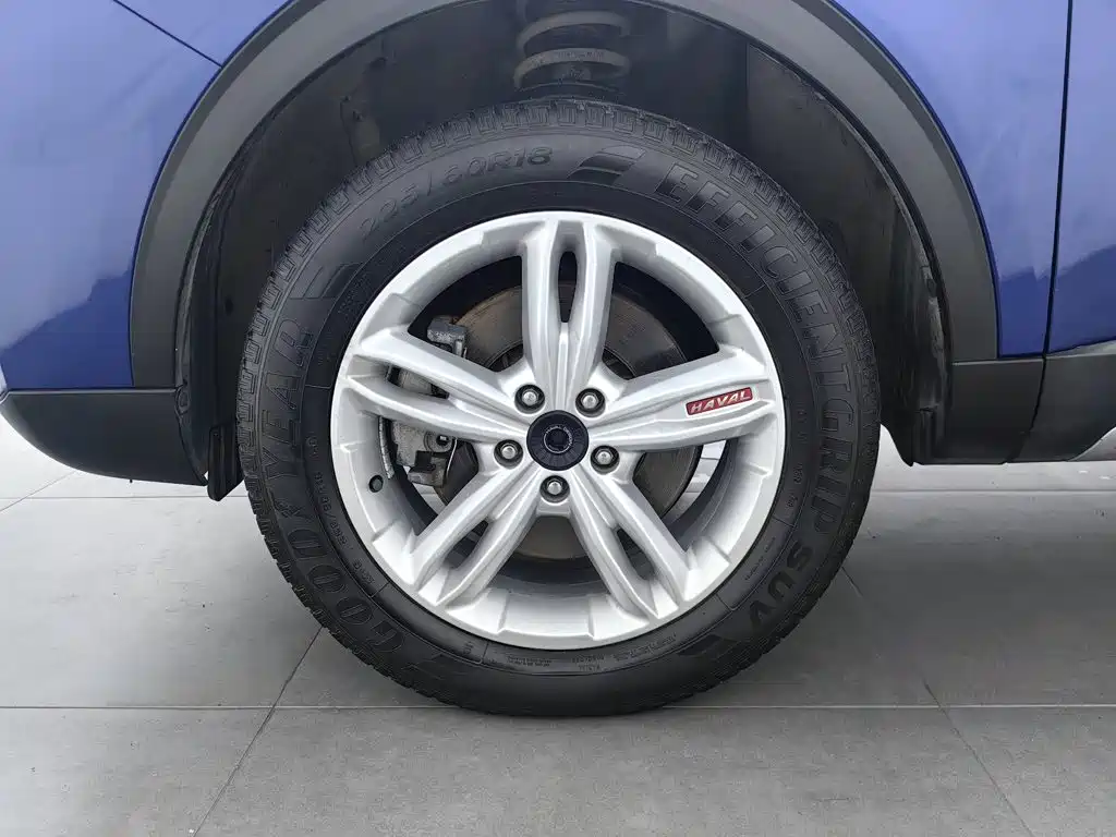 Haval H4 — миниатюра 17