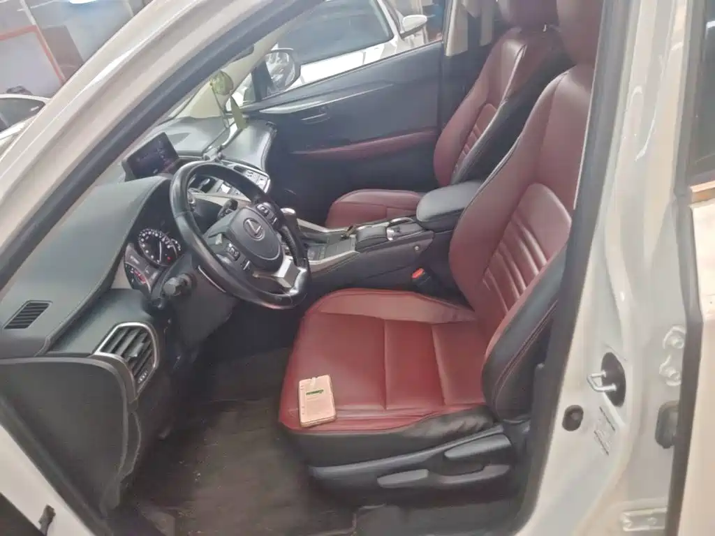 Lexus NX — миниатюра 15