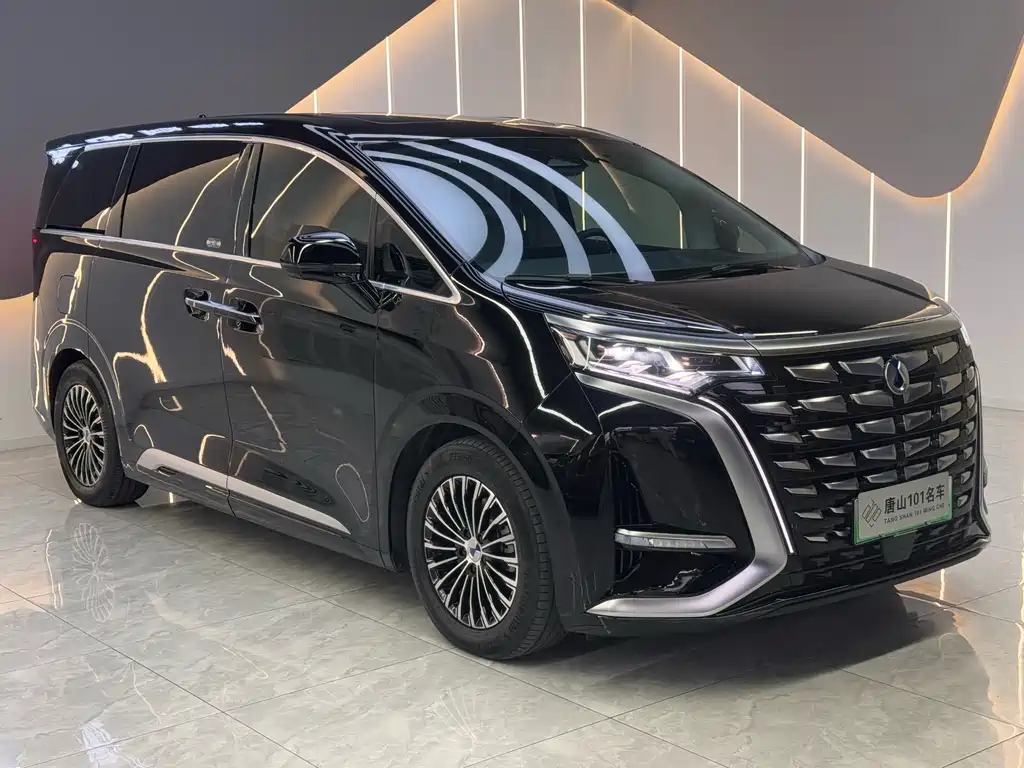 Denza Denza D9 — миниатюра 8