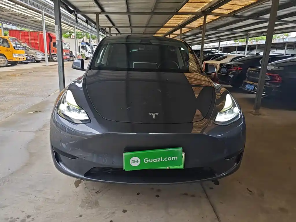 Tesla Model Y — миниатюра 3