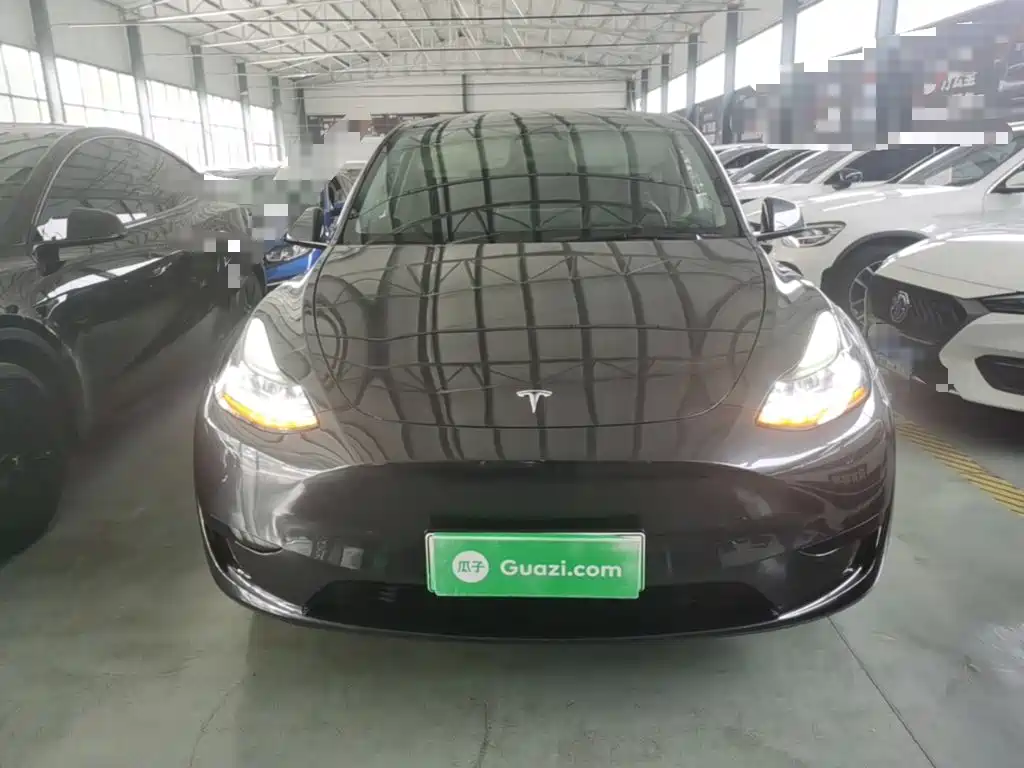 Tesla Model Y — миниатюра 3