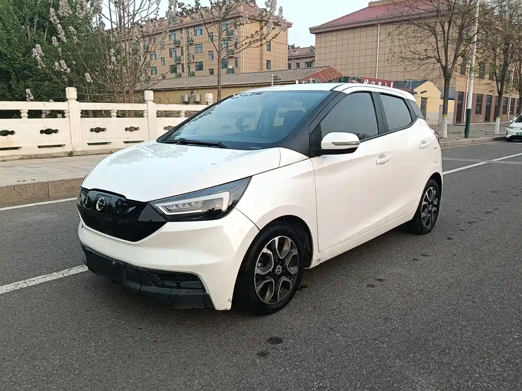 Jmev EV3 2021