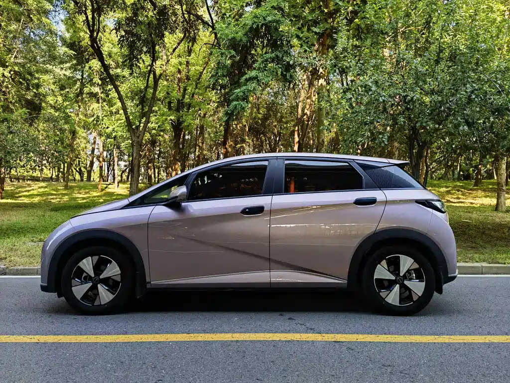 BYD Dolphin — миниатюра 2