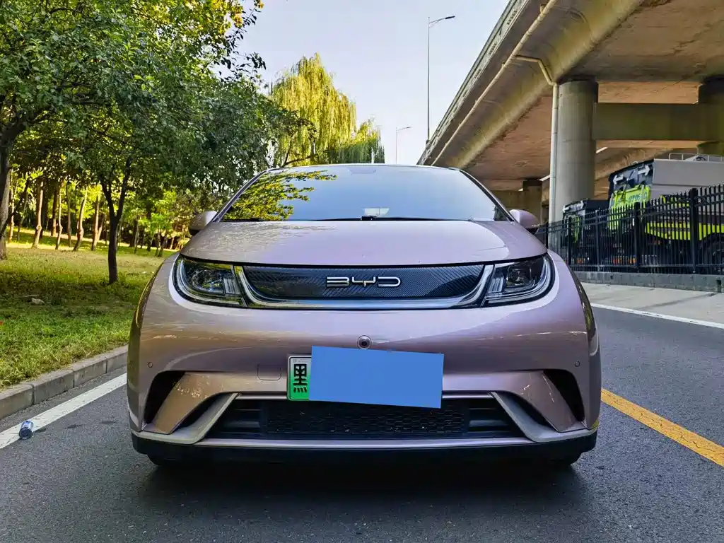 BYD Dolphin — миниатюра 4