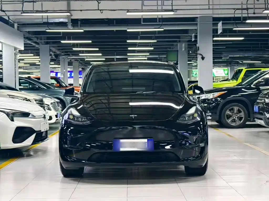 Tesla Model Y — миниатюра 3