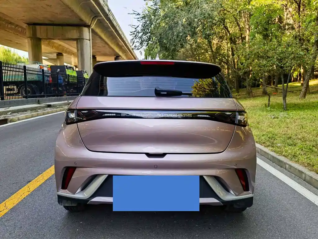 BYD Dolphin — миниатюра 5