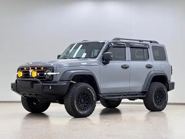 2024 TANK 300