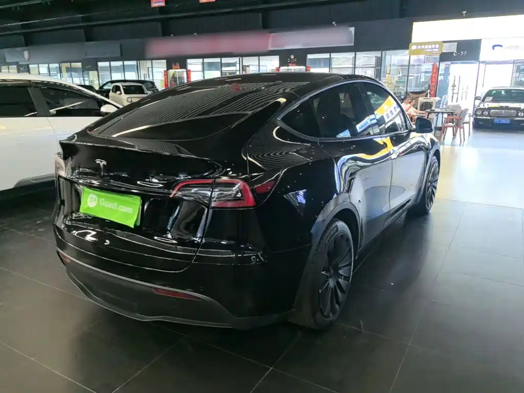 Tesla Model Y — миниатюра 7