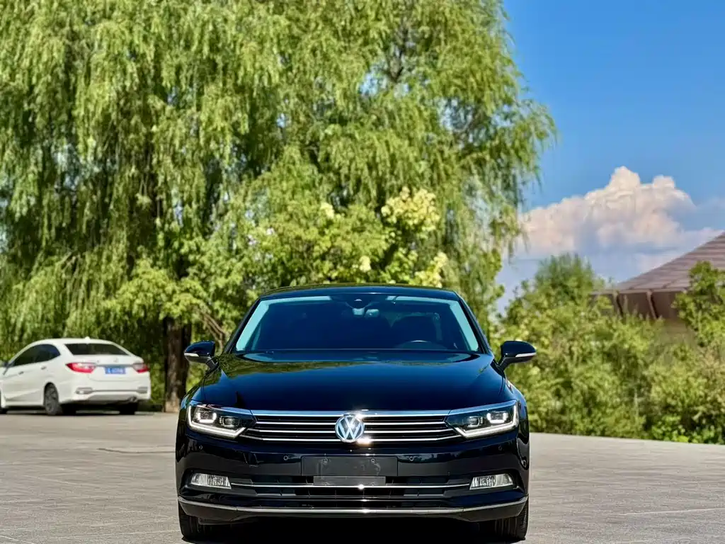 Volkswagen Magotan — миниатюра 2
